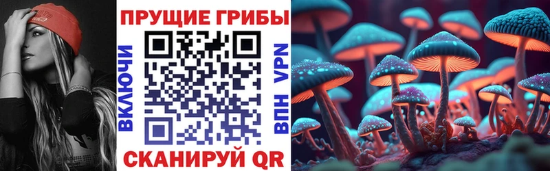 мега вход  Карабаш  Галлюциногенные грибы MAGIC MUSHROOMS 
